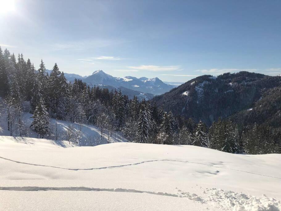 Appartement Cosy 3/4 Personnes A 5 Min Des Pistes. Saint-Jean-dʼAulps Buitenkant foto