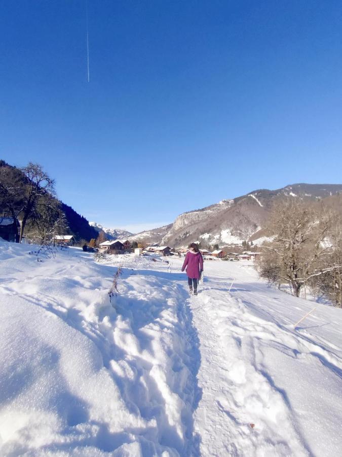 Appartement Cosy 3/4 Personnes A 5 Min Des Pistes. Saint-Jean-dʼAulps Buitenkant foto